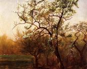 大卫 约翰逊 : Pear Blossoms